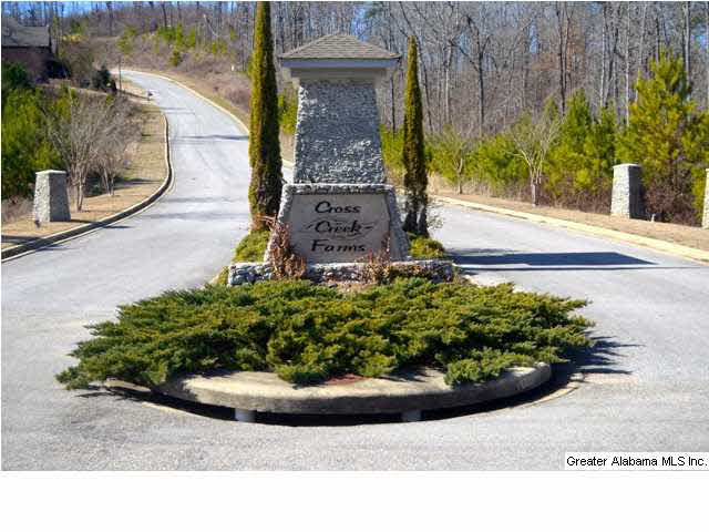 503 Cross Rdg Lane Odenville, AL 35120 - Photo 30 of 31