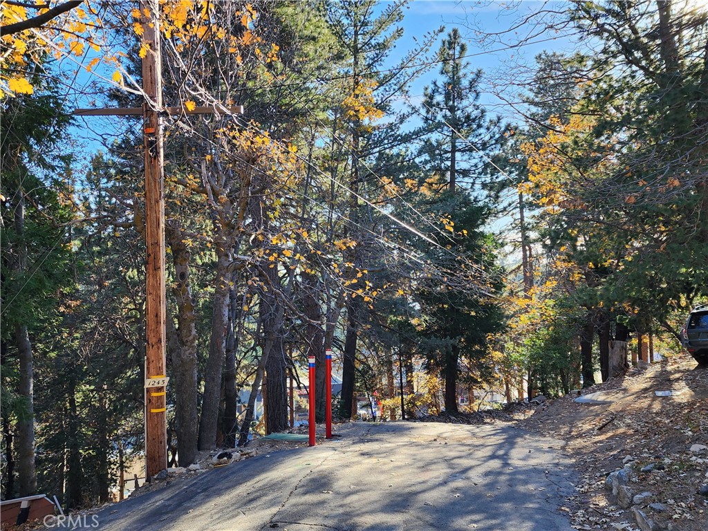 0 Lovers Lane Rimforest, CA 92378 - Photo 11 of 17 a view of street with trees