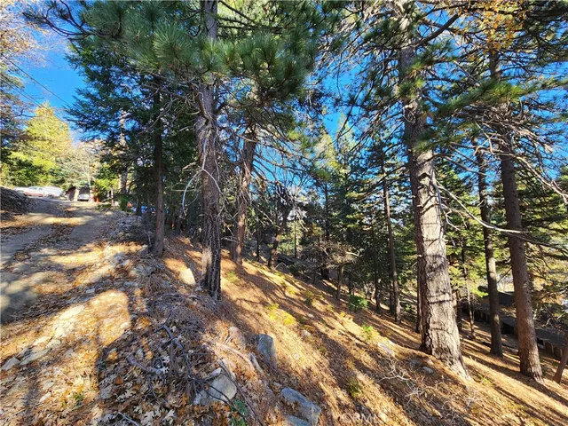 $14,500 | 0 Lovers Lane, Rimforest, CA 92378