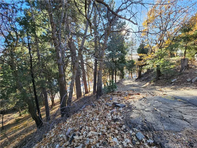a view of street with trees