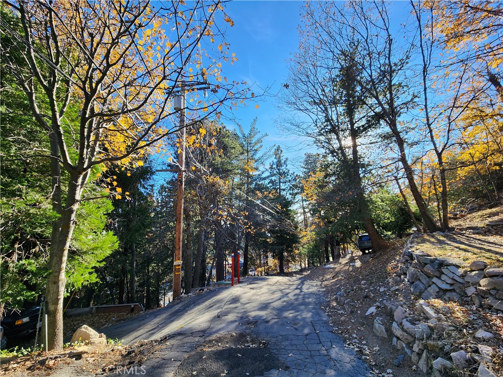 0 Lovers Lane Rimforest, CA 92378 - Photo 10 of 17 a view of road and trees