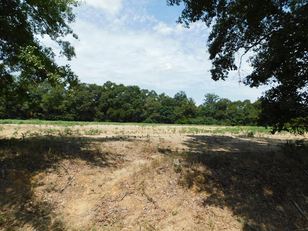Undisclosed Address Dothan, AL 36301 - Photo 1 of 1