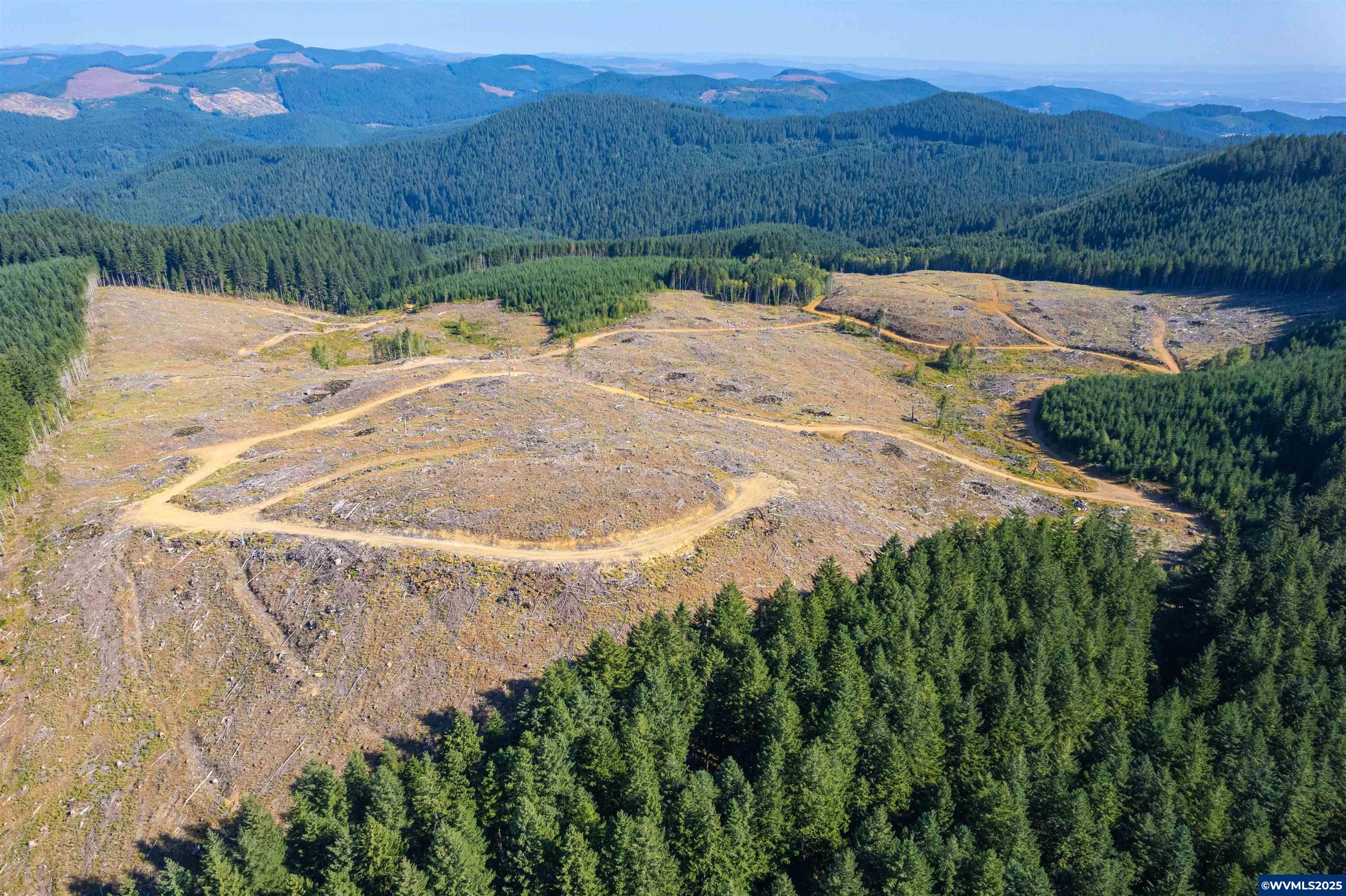 0 Bald Mountain Access Road Willamina, OR 97396 - Photo 2 of 30