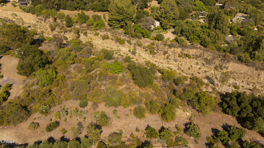 1 Hendrickson Road Ojai, CA 93023 - Photo 11 of 13 a view of a yard