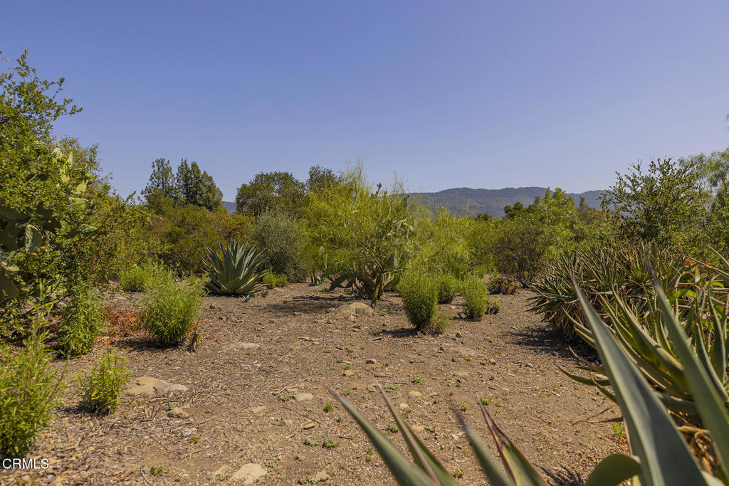 1 Hendrickson Road Ojai, CA 93023 - Photo 2 of 13 a view of a pathway with a yard