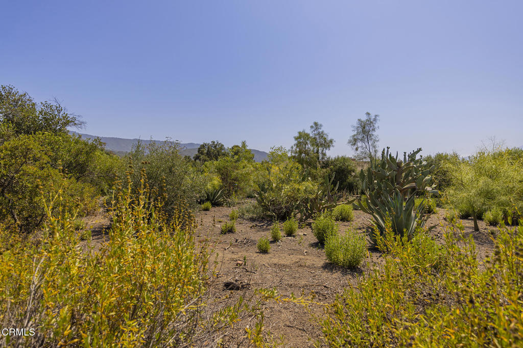 1 Hendrickson Road Ojai, CA 93023 - Photo 3 of 13 a view of a yard