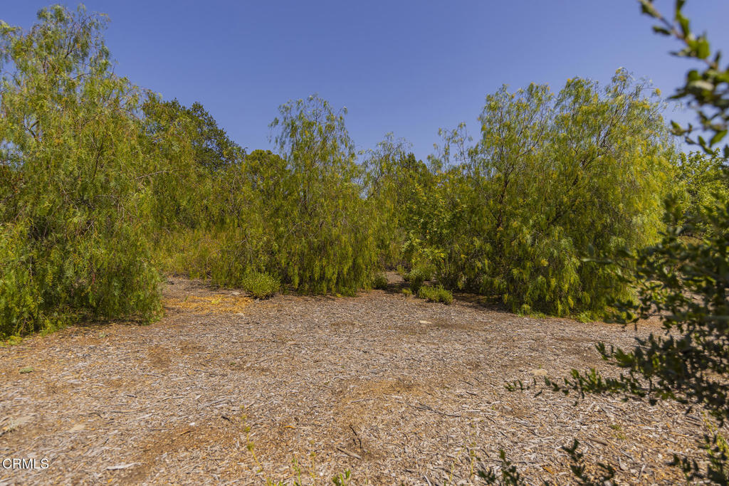 1 Hendrickson Road Ojai, CA 93023 - Photo 8 of 13 a view of a yard with a house