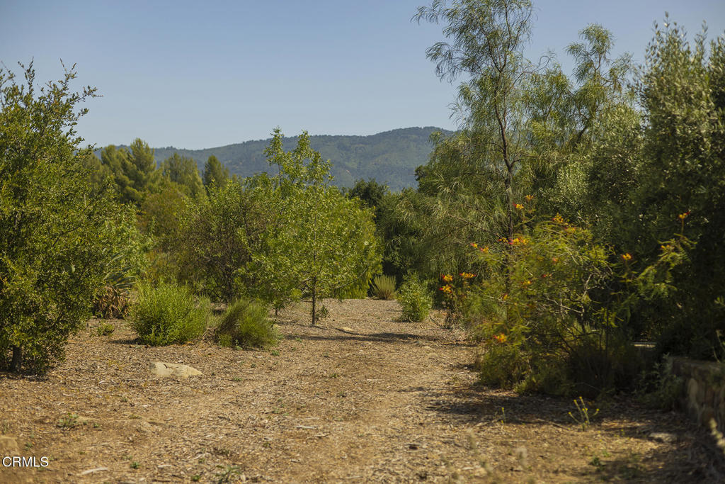 1 Hendrickson Road Ojai, CA 93023 - Photo 10 of 13 a view of a yard