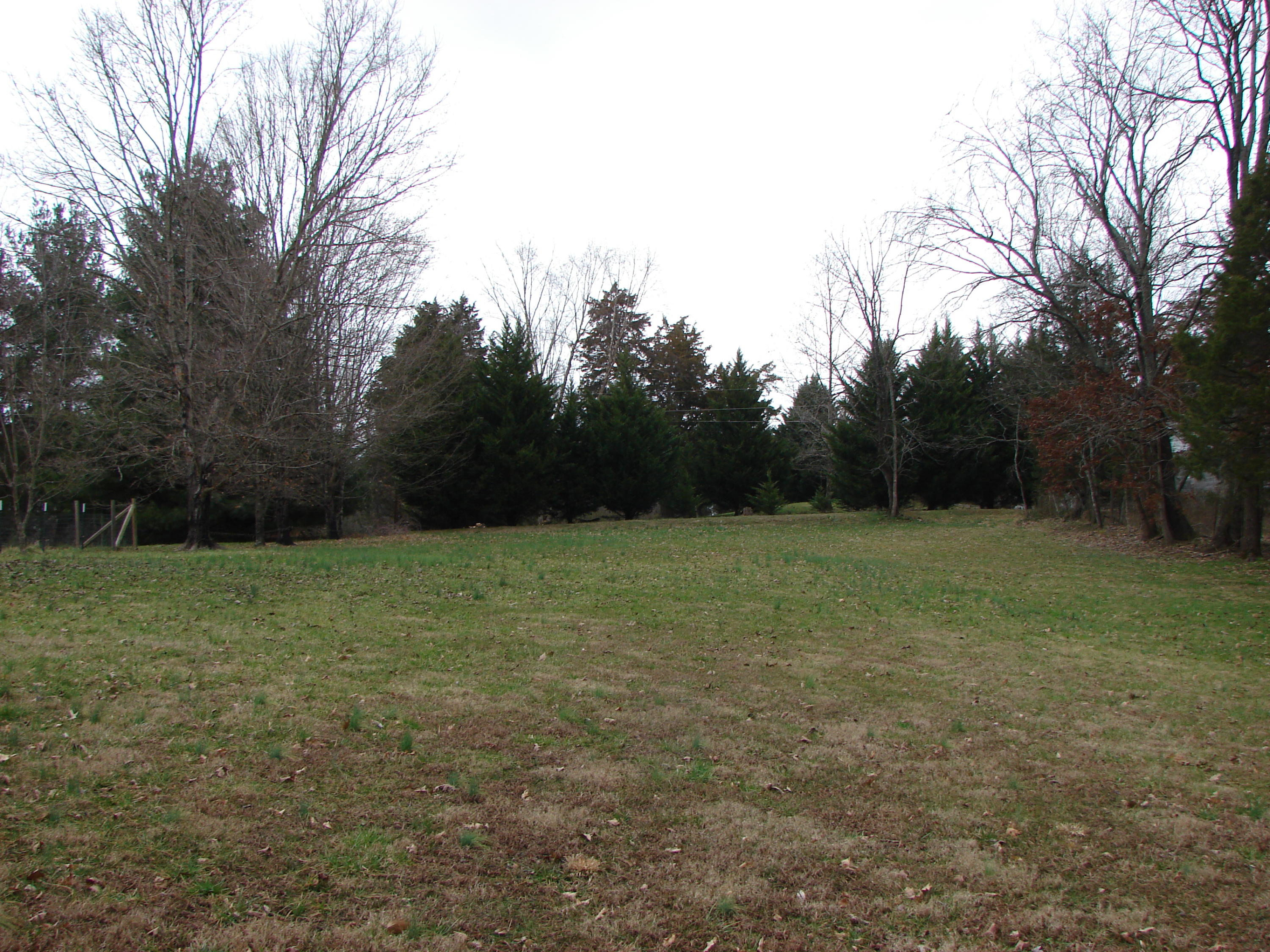 7704 Clapps Chapel Road Corryton, TN 37721 - Photo 14 of 15 14