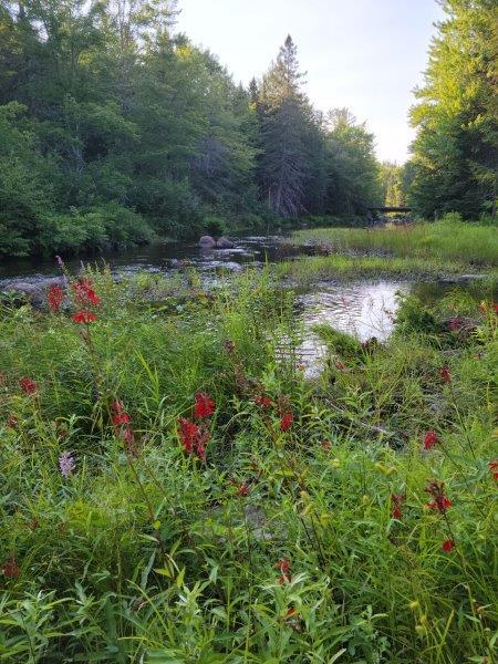 143 East Branch Road Howland, ME 04448 - Photo 53 of 81 East Branch Seboeis (44)