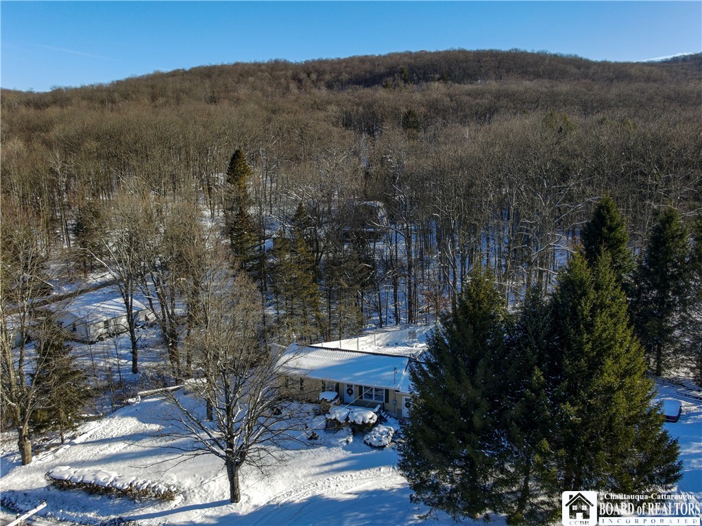 1117 Old Rock City Road Olean, NY 14760 - Photo 37 of 50