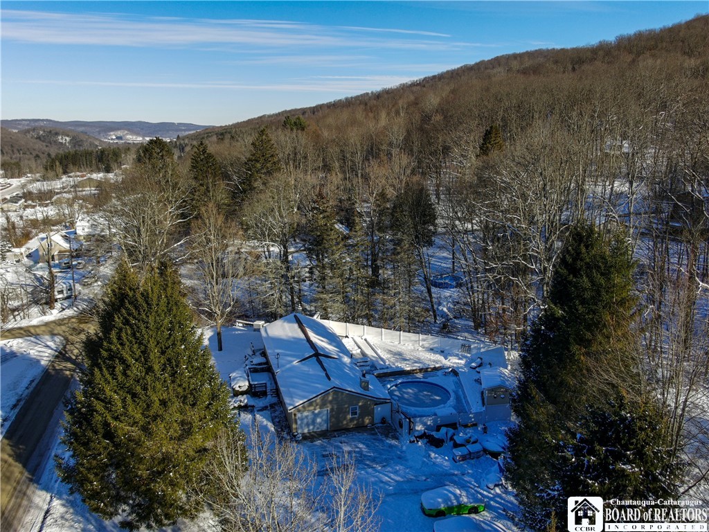 1117 Old Rock City Road Olean, NY 14760 - Photo 38 of 50