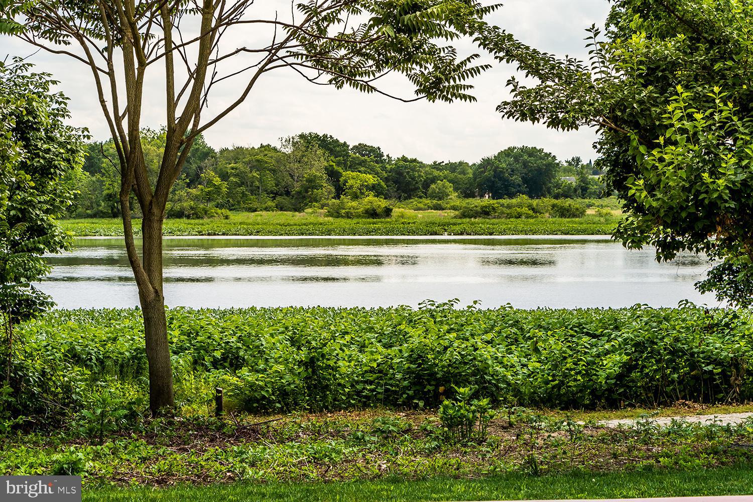 56 Shipps Way Delanco, NJ 08075 - Photo 19 of 30 Gallery Image 19