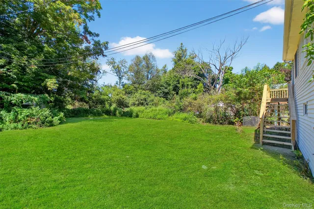 a view of a garden with plants and large trees