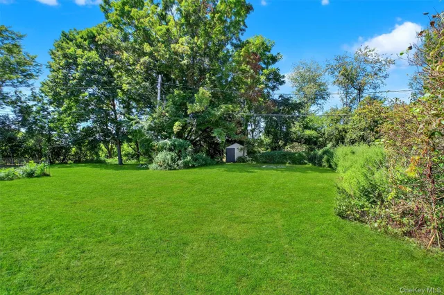 a view of yard with green space
