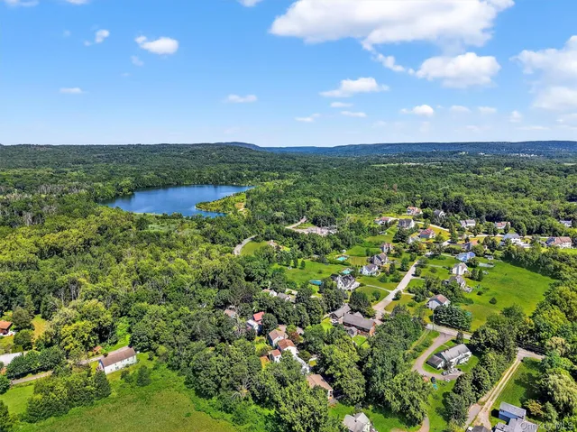 a view of a city with lush green forest