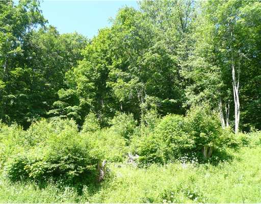 3350 Old Pittsburgh Road New Castle, PA 16101 - Photo 8 of 9 Land/Lot.
