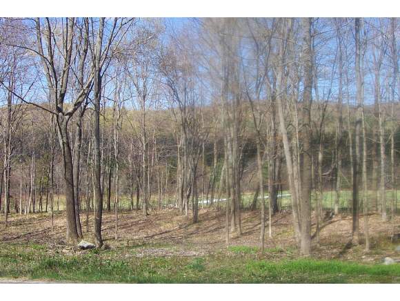 Rt 155 Rt 155 Road Mount Holly, VT 05758 - Photo 1 of 6