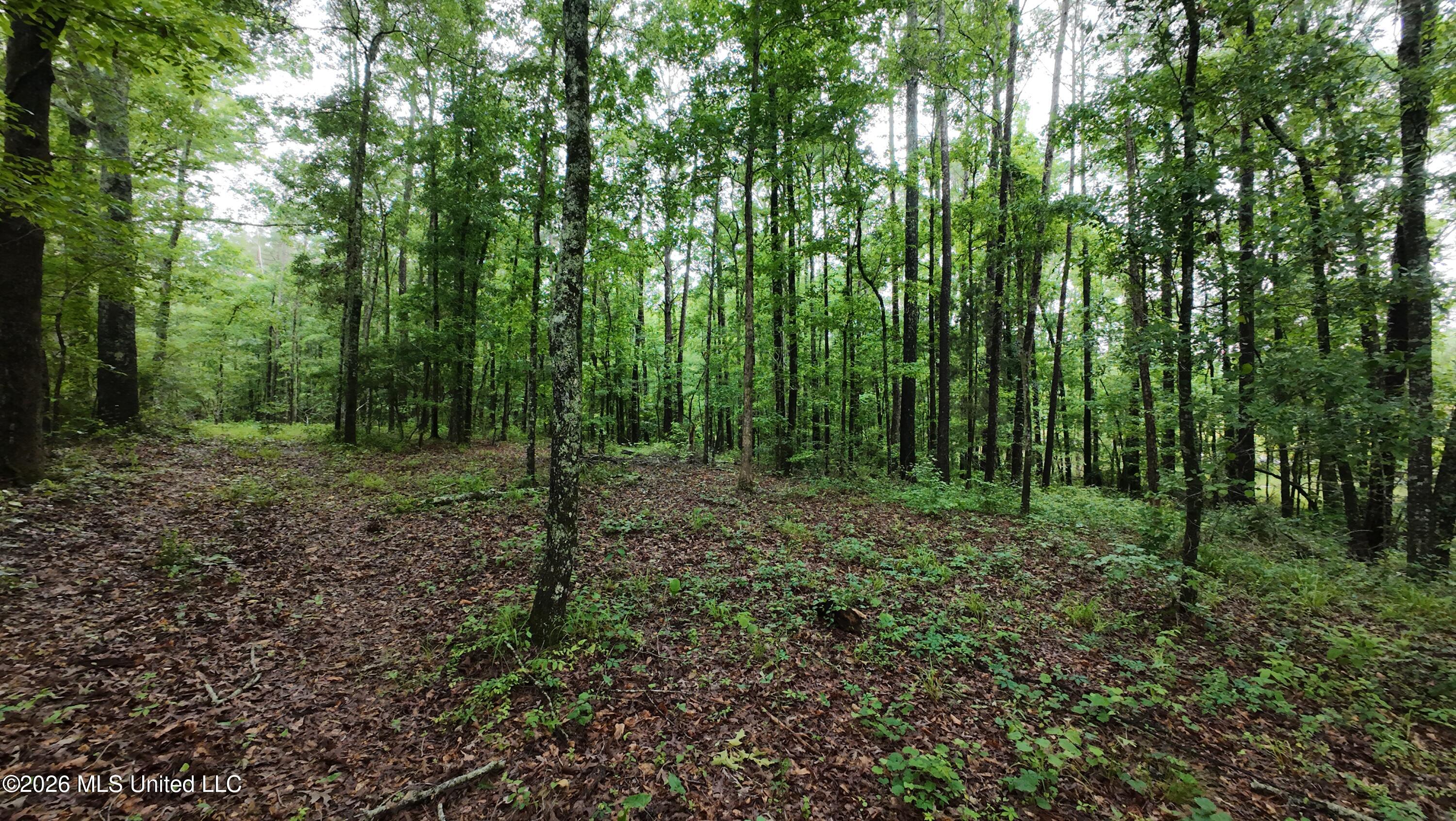 6936 Hillsboro-Ludlow Road Forest, MS 39074 - Photo 4 of 22 DJI_20260429130555_0129_D
