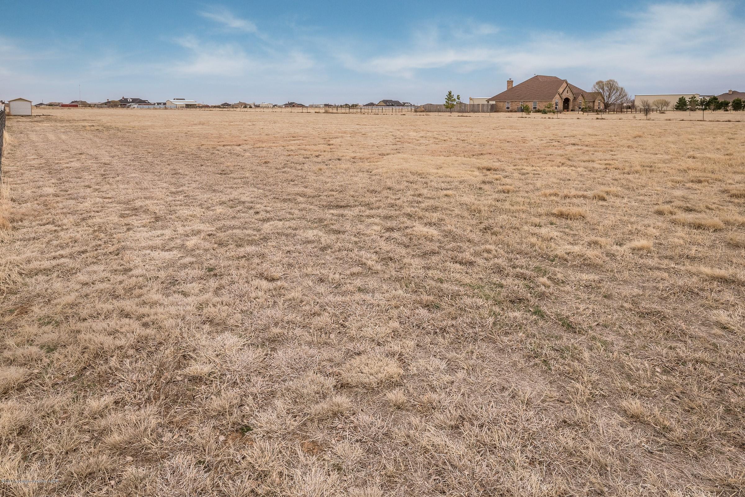 4701 Bushland Road Amarillo, TX 79119 - Photo 29 of 34 028_Side Pasture
