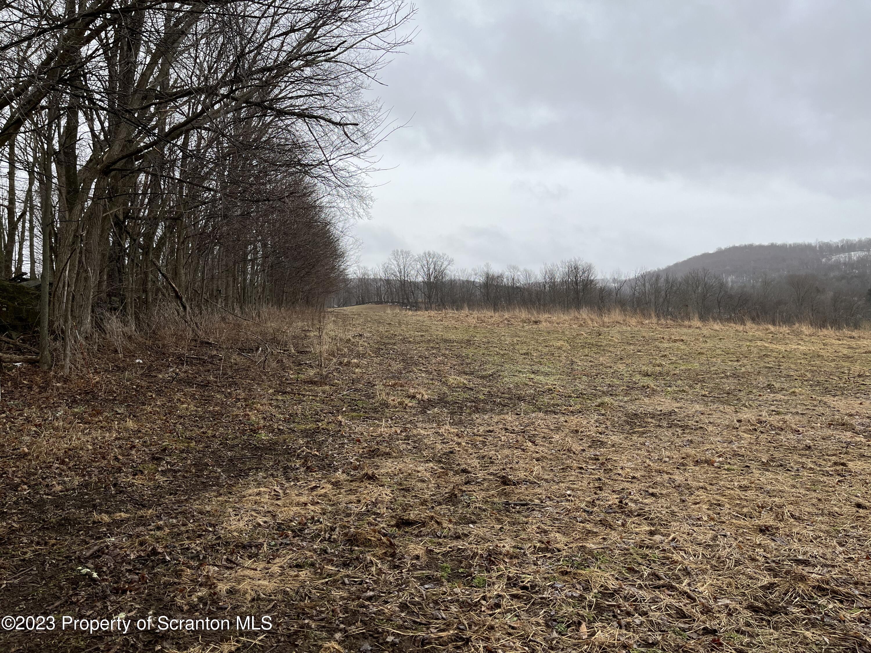 Matechak Road Jermyn, PA 18433 - Photo 4 of 7 a view of lake
