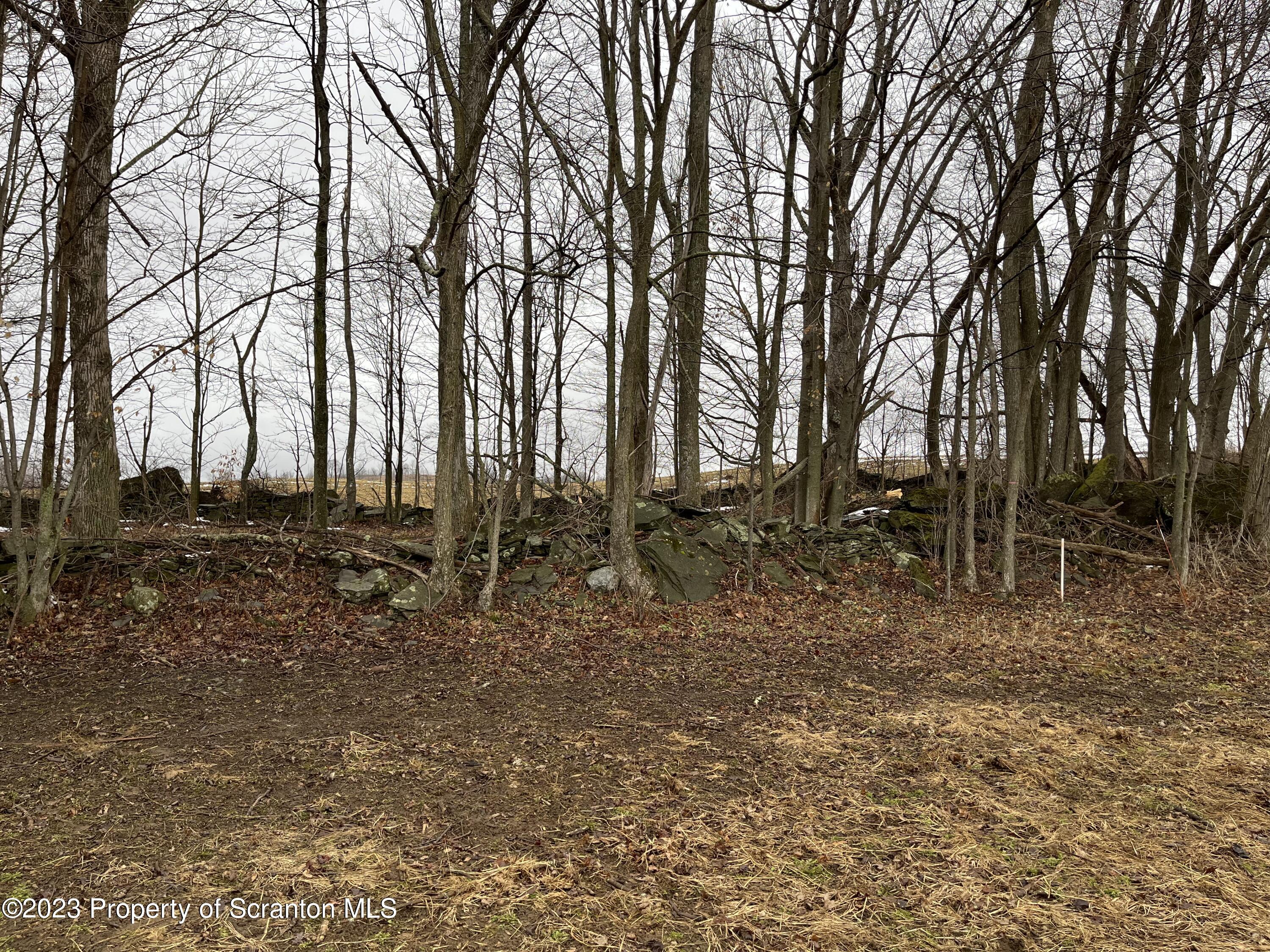 Matechak Road Jermyn, PA 18433 - Photo 5 of 7 a backyard of a house with lots of green space