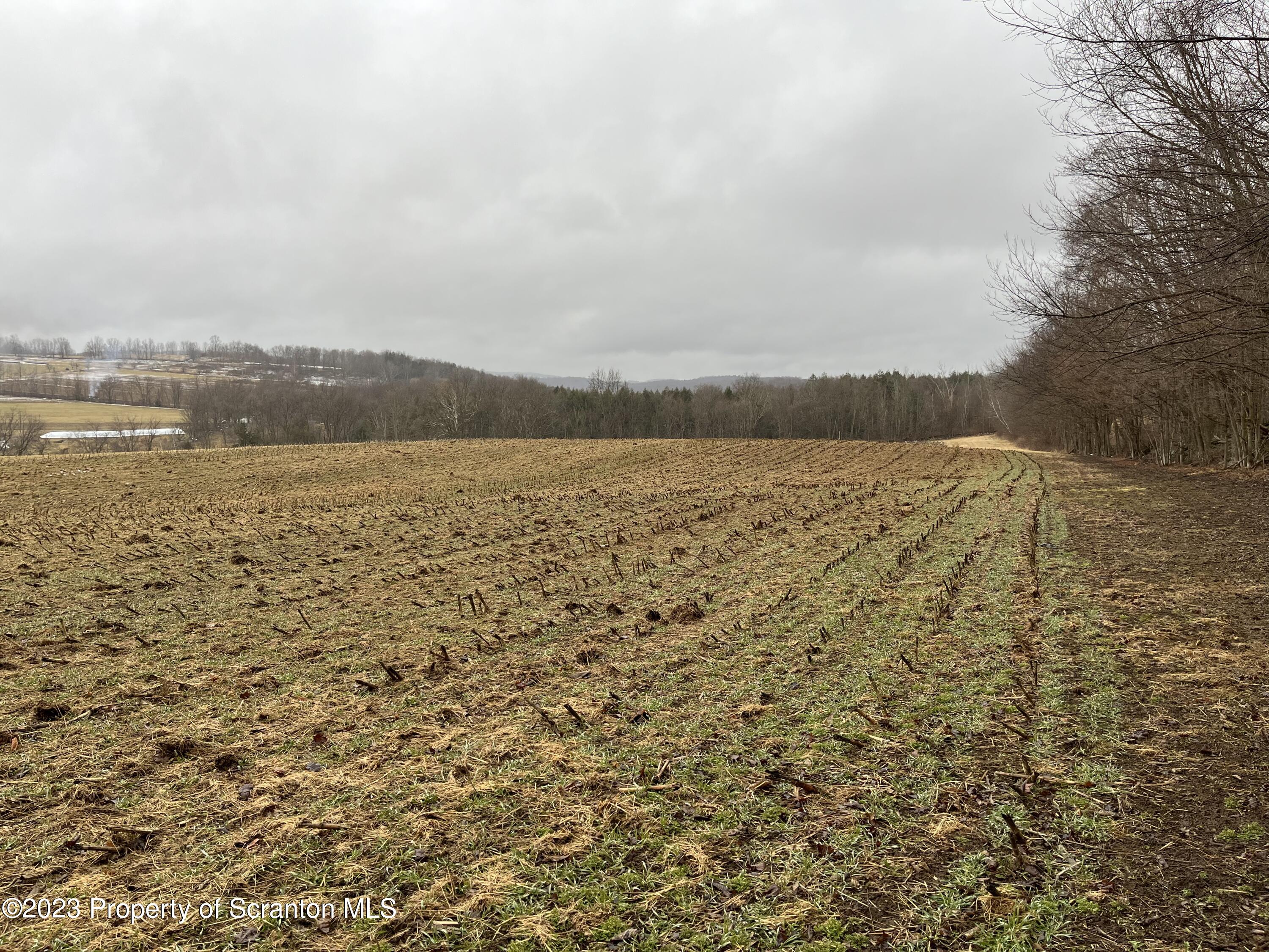Matechak Road Jermyn, PA 18433 - Photo 6 of 7 a view of an ocean
