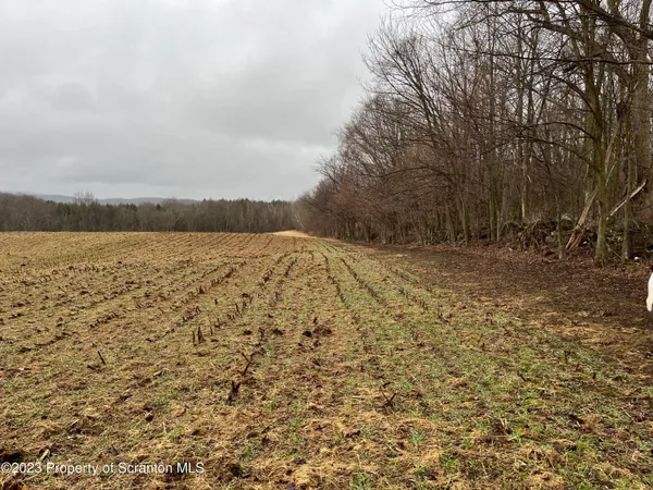 $60,000 | Matechak Road, Jermyn, PA 18433