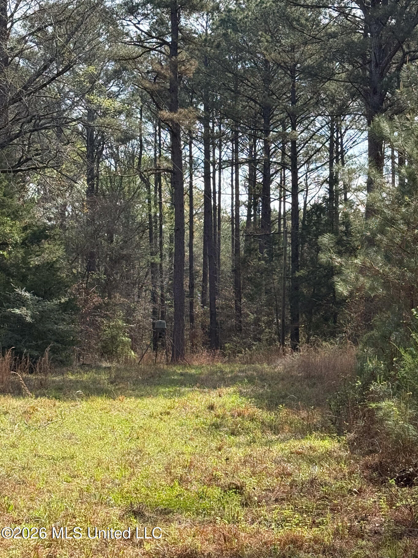 2893 Truesdale Road Carthage, MS 39051 - Photo 21 of 23 Leake 33-38
