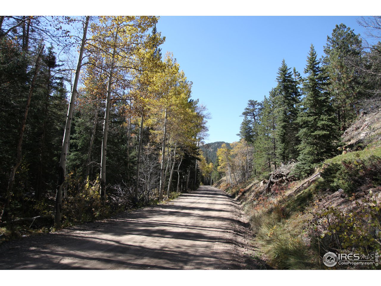 Pingree Park Road Bellvue, CO 80512 - Photo 5 of 7 a view of outdoor space with trees
