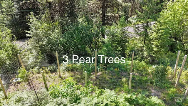 $389,000 | 688 National Forest Development Road 279, Grangeville, ID 83530