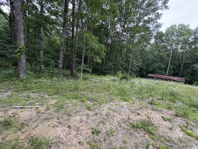 $510,000 | 1117 Deer Run Road, Altamont, TN 37301