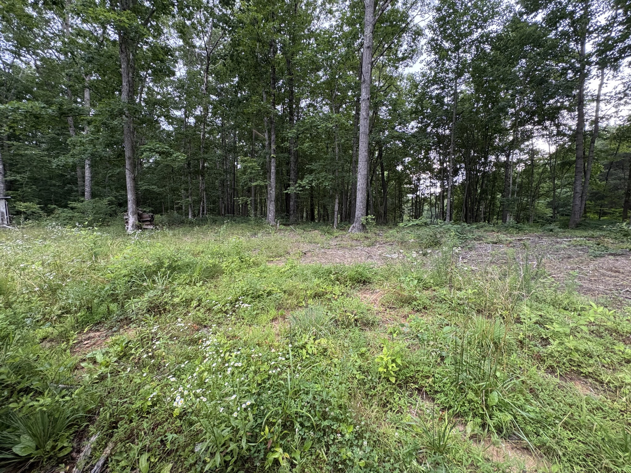 1117 Deer Run Road Altamont, TN 37301 - Photo 3 of 9