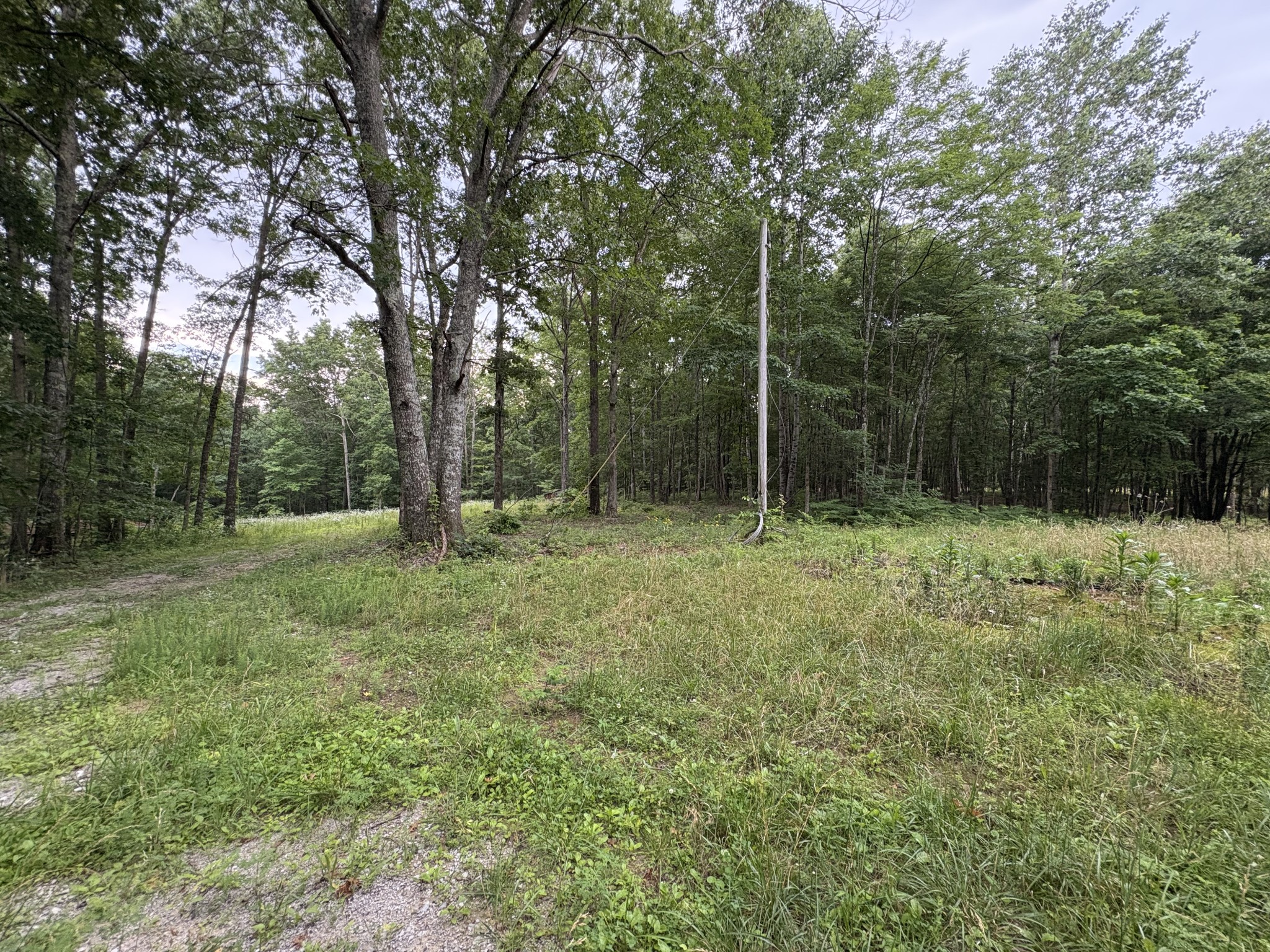 1117 Deer Run Road Altamont, TN 37301 - Photo 4 of 9