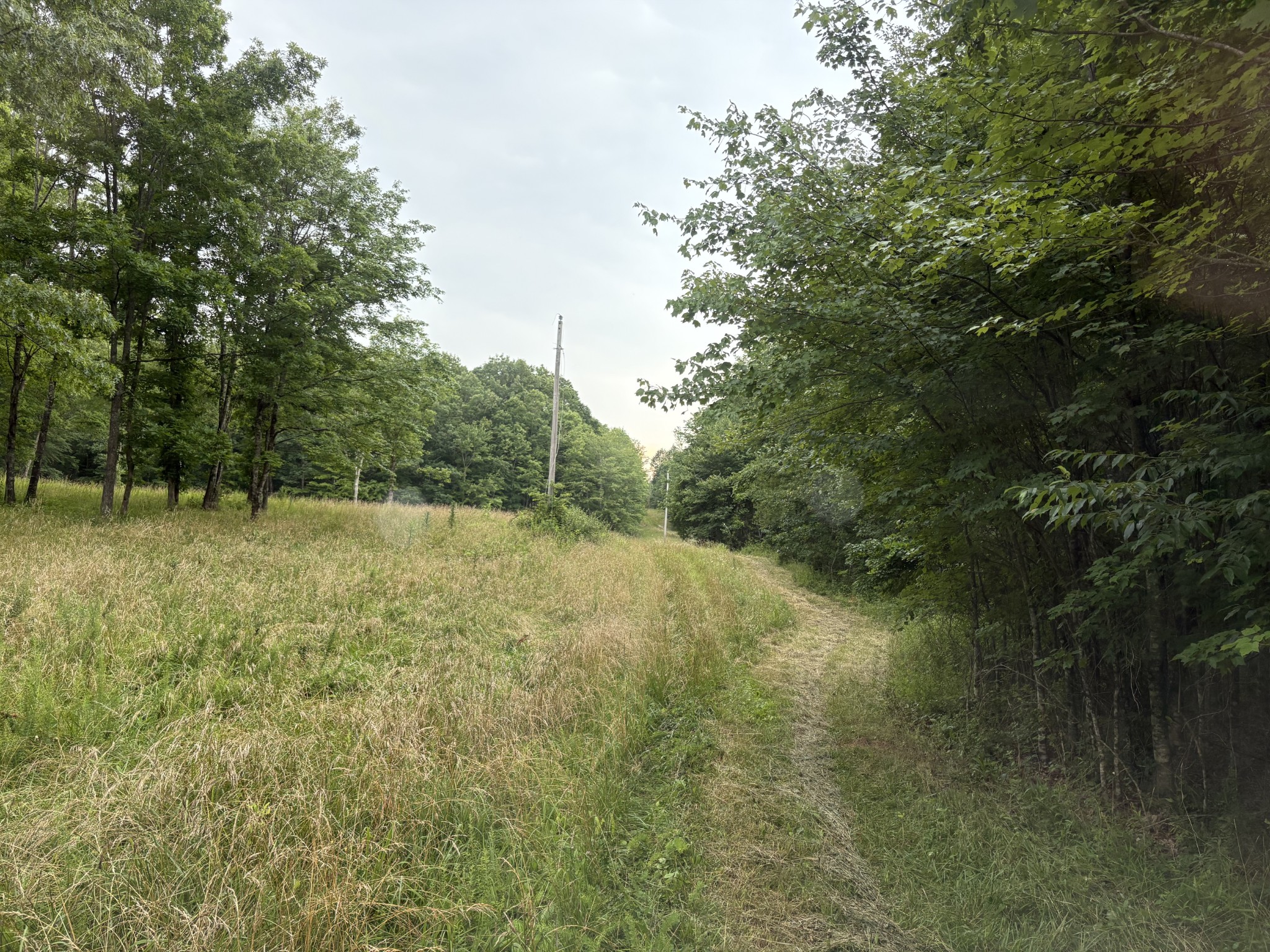 1117 Deer Run Road Altamont, TN 37301 - Photo 5 of 9