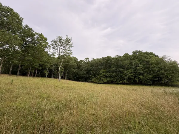 $510,000 | 1117 Deer Run Road, Altamont, TN 37301