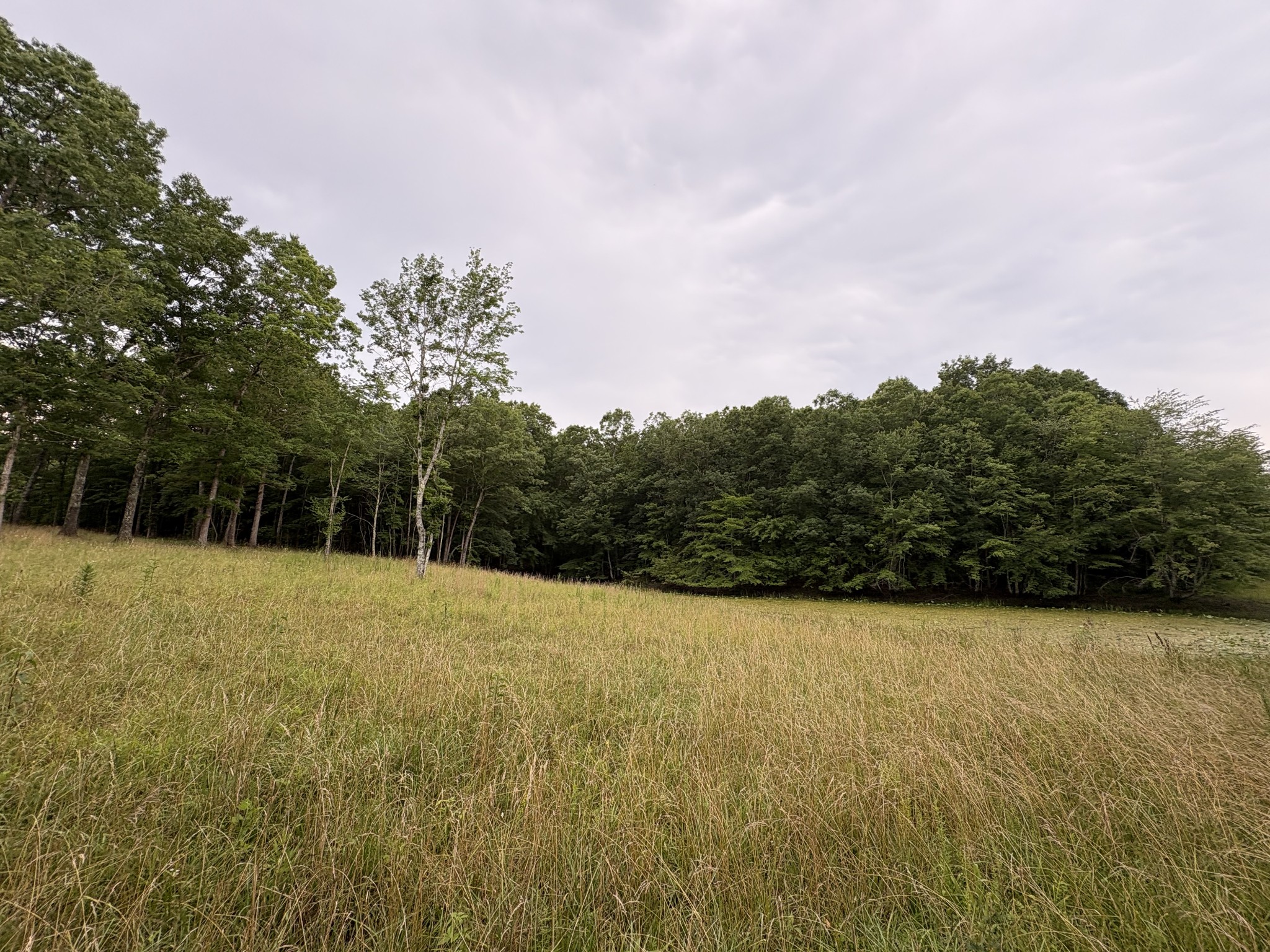 1117 Deer Run Road Altamont, TN 37301 - Photo 6 of 9