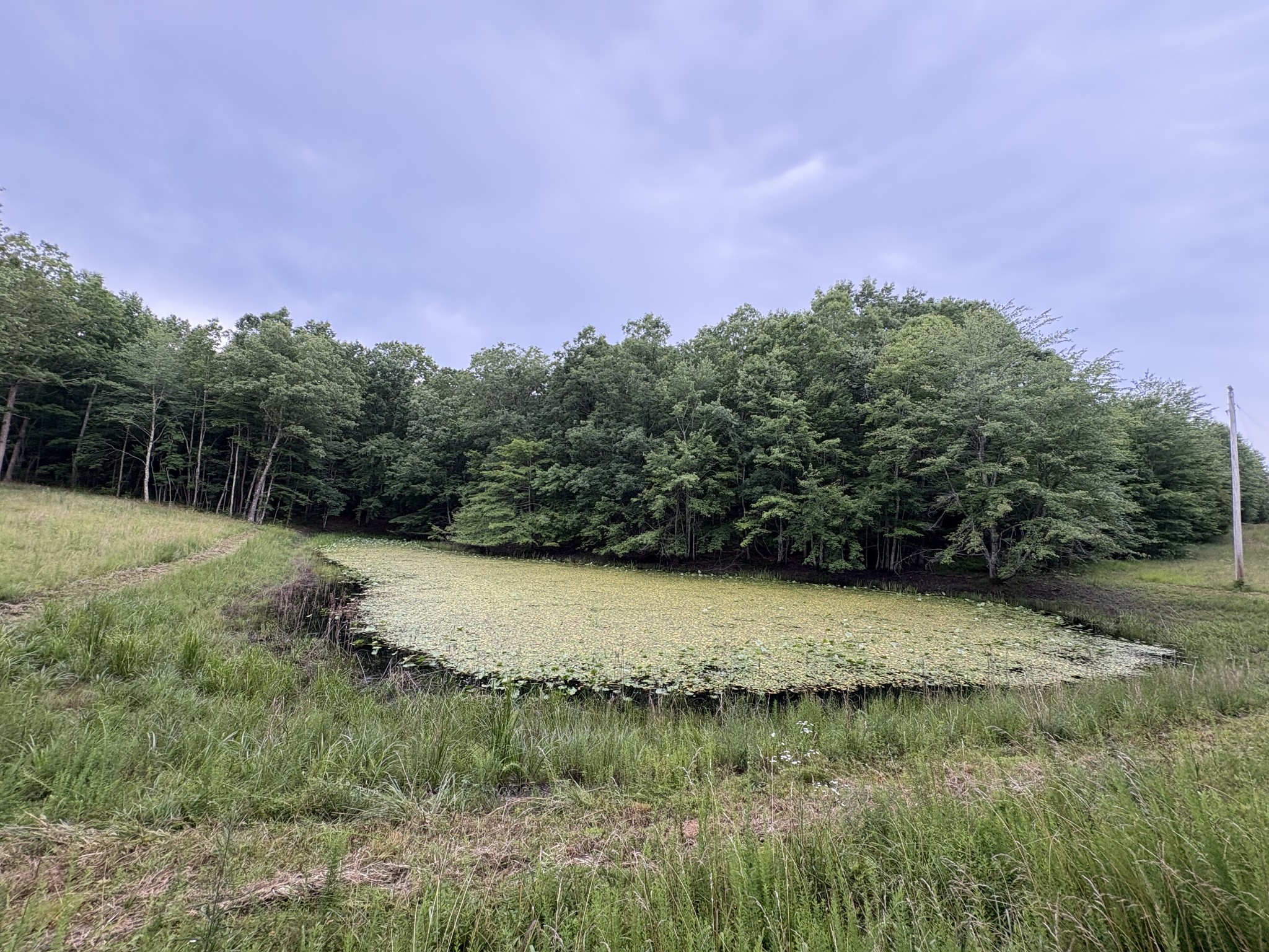 1117 Deer Run Road Altamont, TN 37301 - Photo 7 of 9