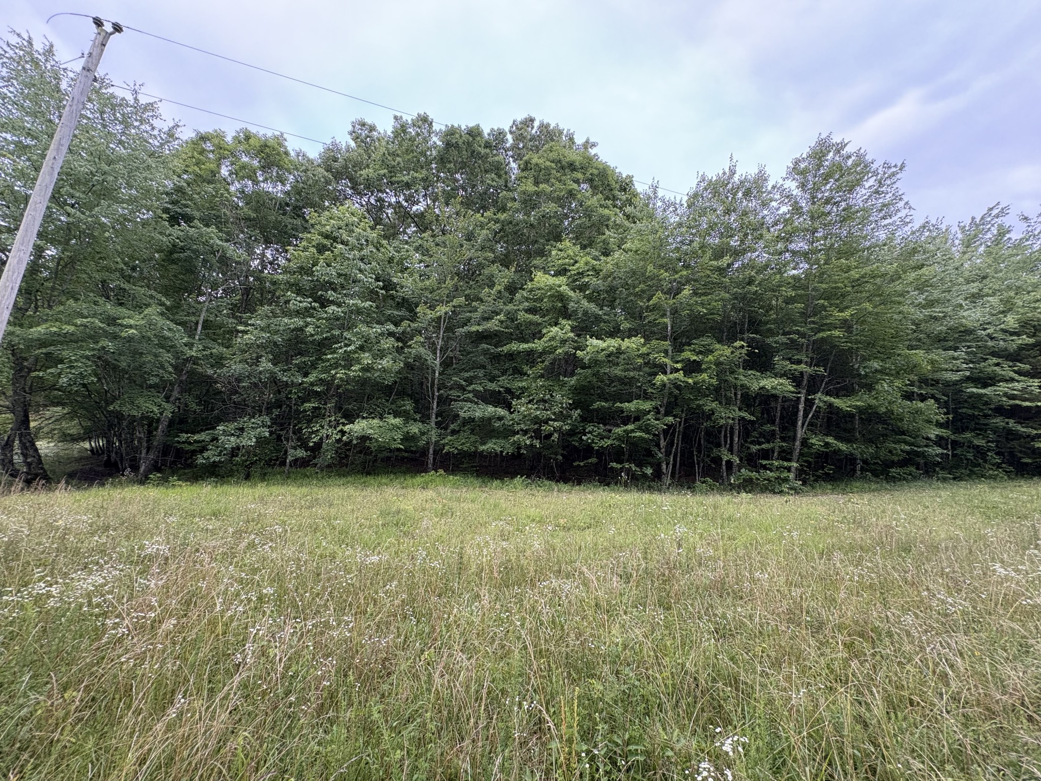 1117 Deer Run Road Altamont, TN 37301 - Photo 8 of 9