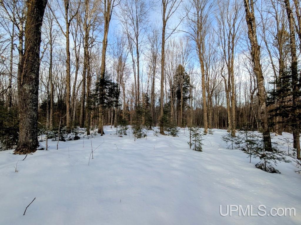4500 Rd Watersmeet Mi 49969 Road Trout Creek, MI 49967 - Photo 2 of 17