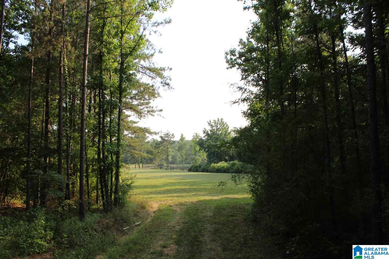 0 County Road 852 Bremen, AL 35033 - Photo 2 of 11