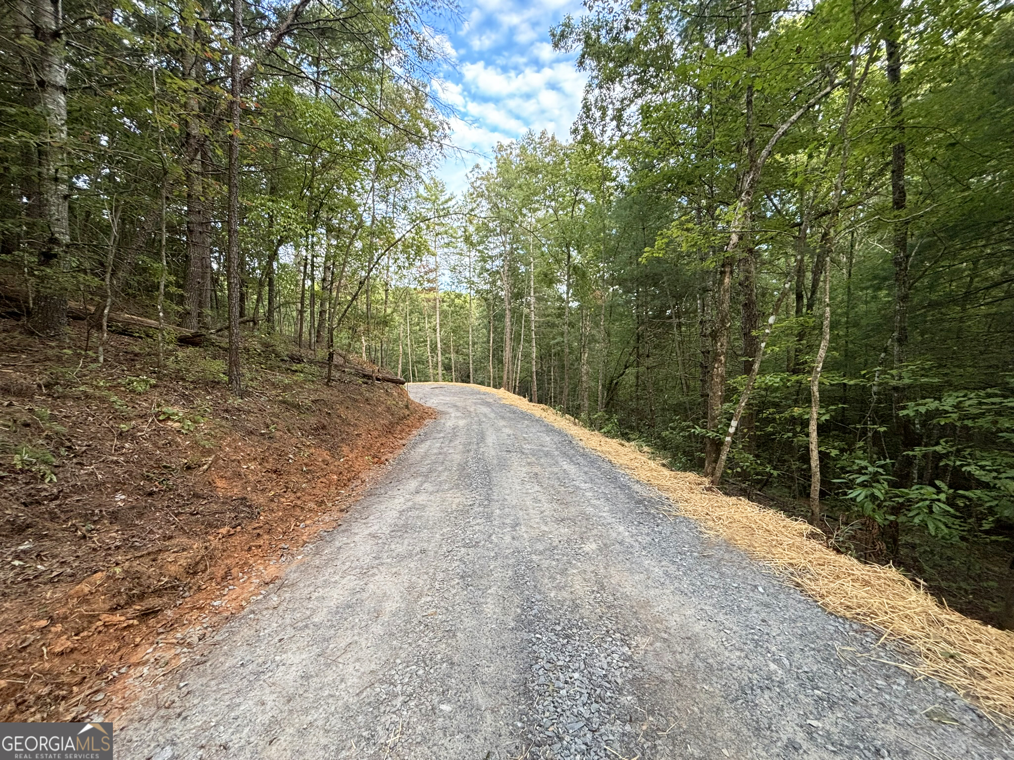 396 Mt Springer Road Ellijay, GA 30540 - Photo 29 of 50