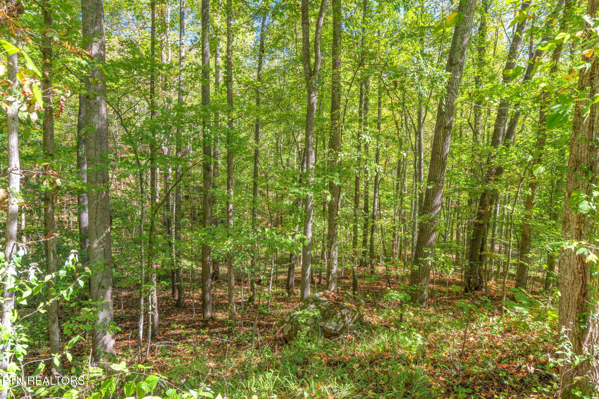 Tunnel Hill Road Harriman, TN 37748 - Photo 12 of 23 9-web-or-mls-Tunnel Hill Road-10