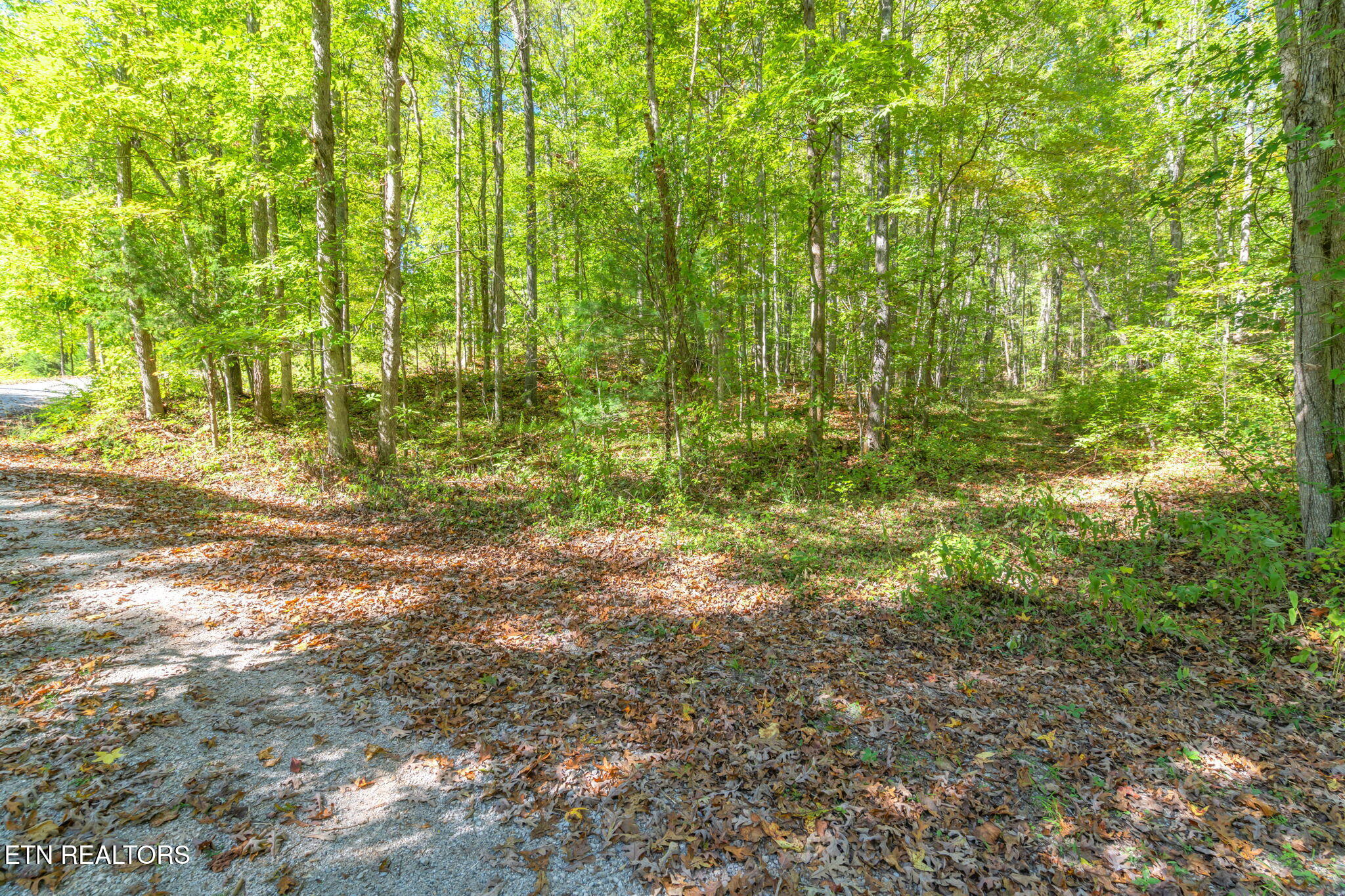 Tunnel Hill Road Harriman, TN 37748 - Photo 5 of 23 2-web-or-mls-Tunnel Hill Road-3