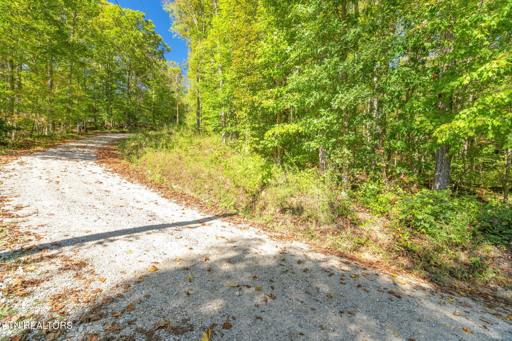 Tunnel Hill Road Harriman, TN 37748 - Photo 7 of 23 4-web-or-mls-Tunnel Hill Road-5