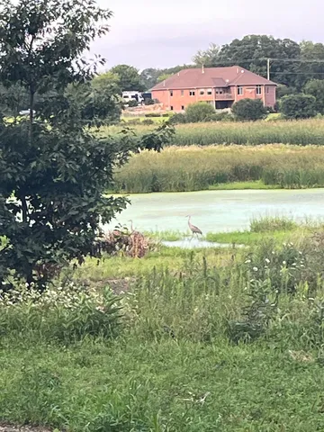 $850,000 | 8801 North Serns Road, Milton, WI 53563