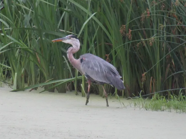 $850,000 | 8801 North Serns Road, Milton, WI 53563