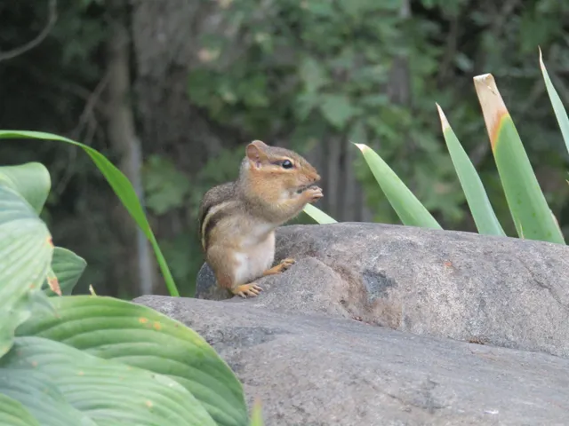 $850,000 | 8801 North Serns Road, Milton, WI 53563