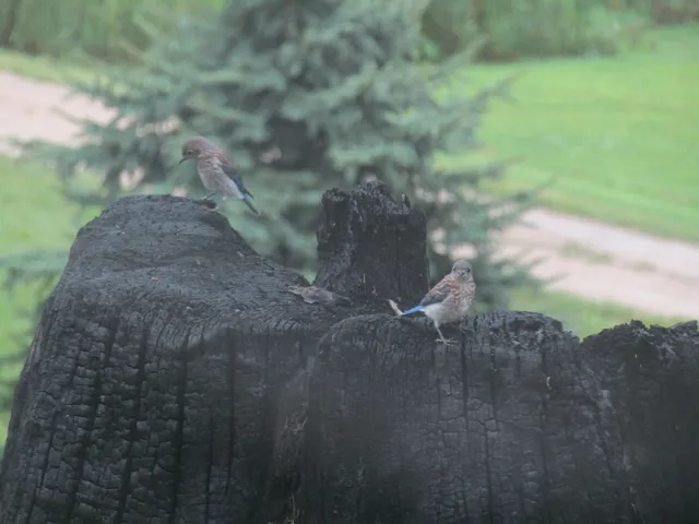 $850,000 | 8801 North Serns Road, Milton, WI 53563