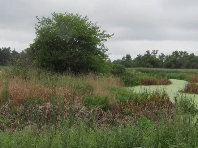 $850,000 | 8801 North Serns Road, Milton, WI 53563